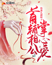 长风不渡我情深小说贺尘安尘哥
