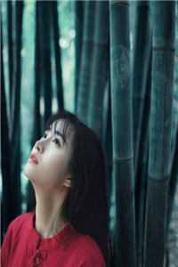 宋清云夏为安的小说重生七零，牛马老夫妻弃子宠女
